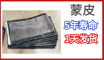 蒙皮-5年寿命,当天内发货[S36沙龙会]