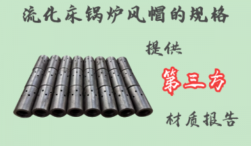 流化床锅炉风帽的规格-可提供第三方材质报告[S36沙龙会]