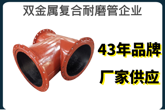 双金属复合耐磨管企业-43年品牌厂家供应[S36沙龙会]