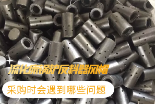 流化床锅炉反料器风帽采购时会遇到哪些问题?[S36沙龙会]