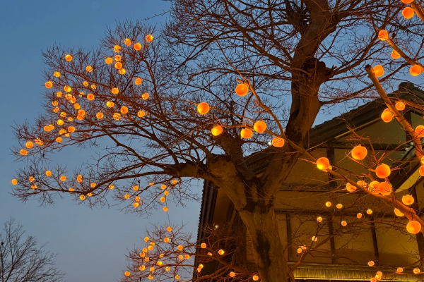 记三八节禅意之旅